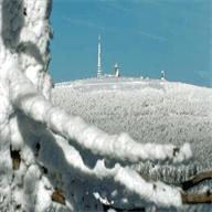 lustige-harz-hexe.de.tl