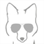 silverfoxclub.org