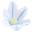 windcoder.com