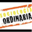 sociologiaordinaria.com