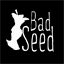 badseedhardcider.com