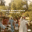 turtleambulance.bandcamp.com