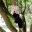 sjalikropp.wordpress.com