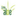 todoaloe.com
