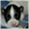 alexkennel.com