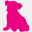enjoyyourdog.it