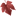 vins-antoine-ehrhart.com