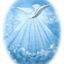 deborahdavisbooks.com