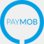 paymobsolutions.com