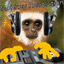 monkeyrevolution.bandcamp.com