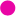 taptempostudio.com