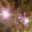 celeripedean.wordpress.com