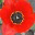 mykyleidoscope.wordpress.com