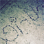 sidewalks.xyz