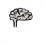 braindraining.com