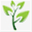 vrukshaprem.org