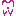 tandarts.be