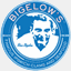 bigelows-rvc.com
