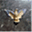 warmingstone.com