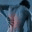 mattmortensen.wordpress.com