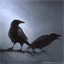 featherdesign.com