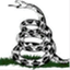 coiledviper.com