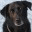 missoverstrom.wordpress.com