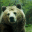 openamf.org