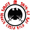 karatedo-shingikai.com