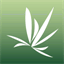 blog.synthellecmedia.com