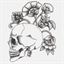 niromet.com