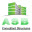 asbconsultant.com