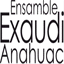 exaudian-ensamble.com