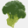 broccoli.informatik.uni-freiburg.de