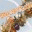 banglebops.wordpress.com