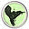 intcog.com