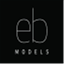 ebmodelsblogg.com