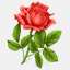 modlitwadoswrity.pl