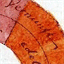 federicovercellone.com