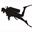 dive-droylsden.com
