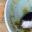 gluttonize.wordpress.com