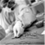 globalsurgery.wordpress.com
