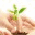 completethinking.wordpress.com