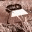 whatdoesonedowiththat.wordpress.com