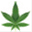 wpbdispensaries.net