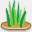 peteswheatgrass.com