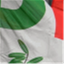 pdvigonza.org