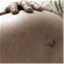 touchforbirth.wordpress.com