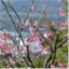 lessonsunderthetree.com