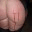 herrenh.wordpress.com
